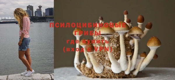 мдпв Иннополис