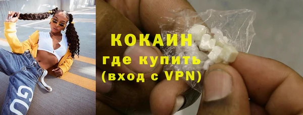 PSILOCYBIN Инсар
