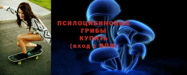 марки lsd Инта