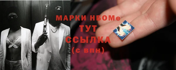 PSILOCYBIN Инсар