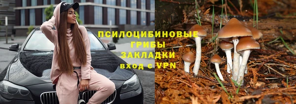 PSILOCYBIN Инсар