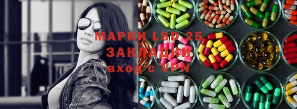 PSILOCYBIN Инсар