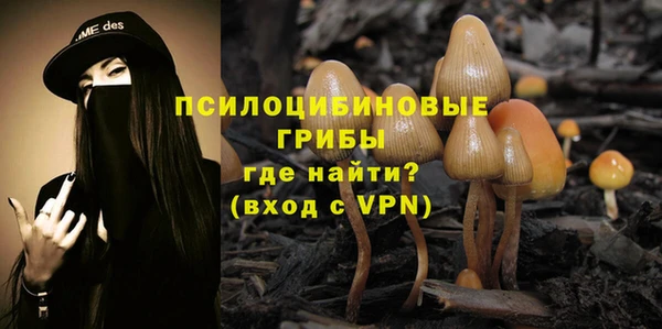 PSILOCYBIN Инсар