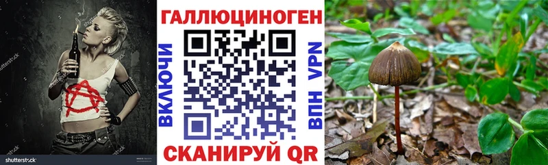 Псилоцибиновые грибы мухоморы  Купить  Рузаевка 